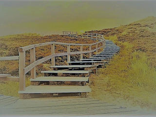 InkedMandy-hot - сексуальная веб-камера в реальном времени - 20718990