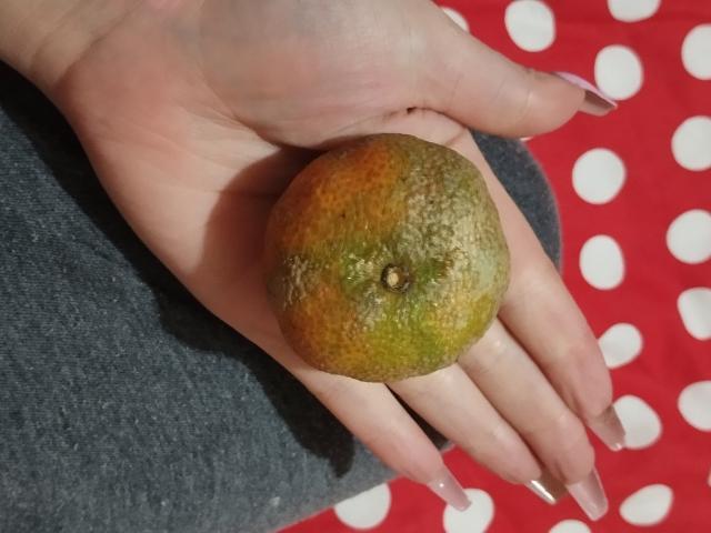 CocoVolkova - ライブポルノ&amp;セックスカム - 20770890