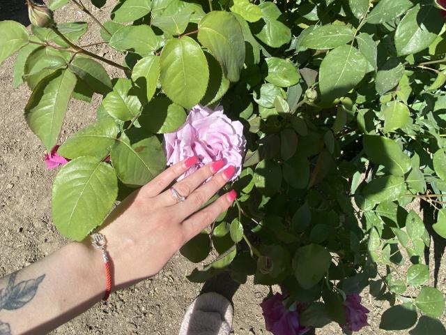 Olieri - ライブポルノ&amp;セックスカム - 20793174