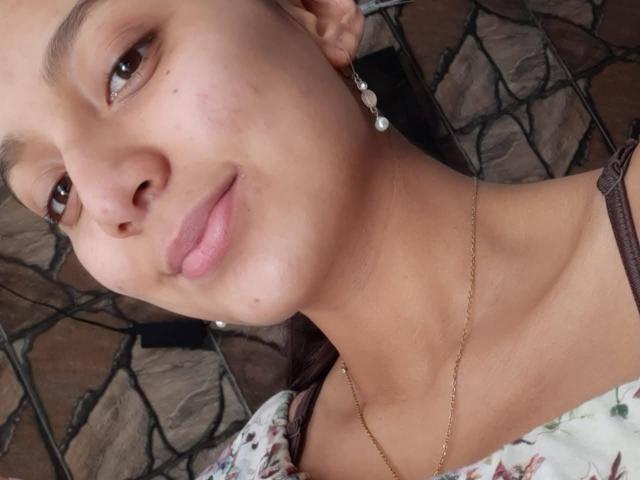 Digital illustration of a flat, minimalist style with four overlapping coats of arms. Each coat of arms is a simple, solid color with a small black emblem in the bottom left.