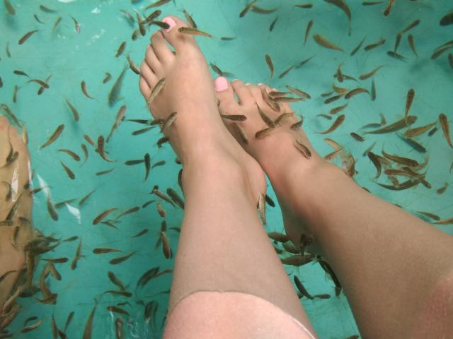 MonicaMiss's feet are in clear water, surrounded by small brown fish. Her toes are painted pink, and her skin is light. The fish are swimming around her feet.