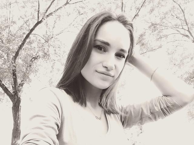 Digital art of a minimalist, modern-style coat of arms. Soft, muted colors with a gradient effect. Central emblem features abstract, dark patterns with a larger, lighter background. Simple, clean lines.