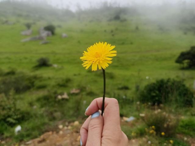 NataliaRivas - Live porno og sexkamera - 21374946