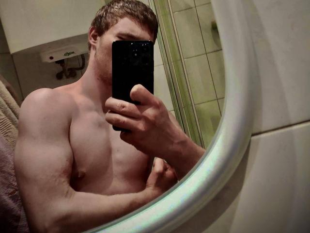 WarzyWkawcipce, shirtless with a muscular, bare-chested upper body, holding a phone in front of a mirror, taking a selfie, brown hair, mirror reflection.