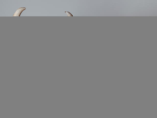 BadraDuquell - Élő pornó és szexkamera - 21520265