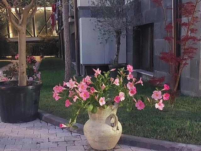 SoniaTestX - Live sex cam - 21536173