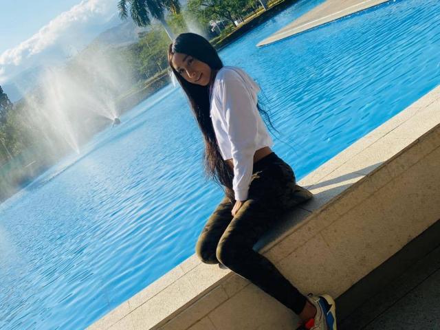 Digital illustration of a minimalist coat of arms with a bold, geometric design. The central emblem features a simplified, stylized letter "V" in dark blue and red.