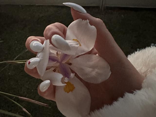 IzzysMisss's hand with long white claws holding a pink flower with purple and yellow center, wearing a fluffy white sleeve, against dark green grass.