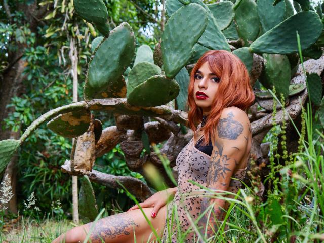 AlexJhonsons with red hair, tattoos, and red lipstick, sitting against a cactus plant, wearing a patterned dress, showing her ass and tattooed thighs, in a grassy outdoor setting.