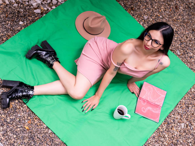 CamilleRios with black hair, glasses, pink dress, black boots, tattoos, laying on green blanket, brown hat, pink book, white cup, gravel ground, looking up, tits slightly visible.