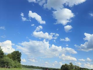 LegendHarold - Sexe cam en vivo - 21715993