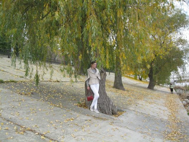 LoveFM-hot leaning against a tree with yellow leaves, wearing a beige jacket and white pants, standing on a stone path, holding a red bag, autumn vibes.
