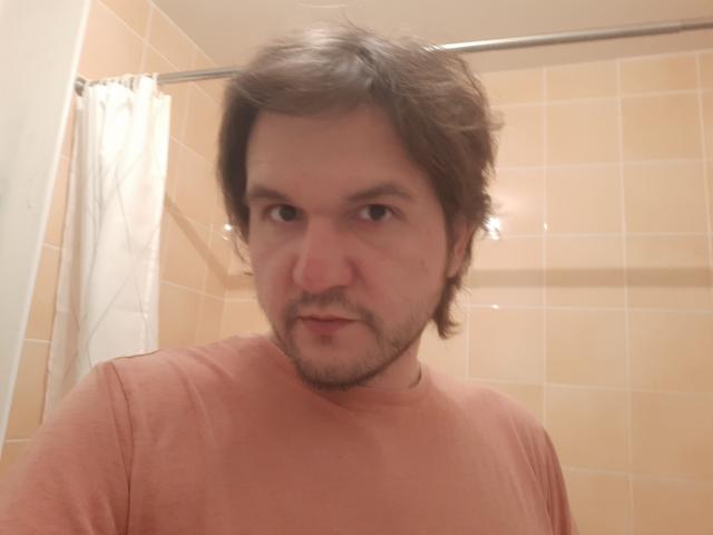 NectarineFad has a chubby face, brown wavy hair, light beard, and is wearing a pinkish-red t-shirt with a slightly annoyed expression in a bathroom.