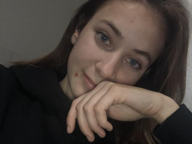 Flatter, stylized coat of arms with bold, flat shapes and muted colors. Large, overlapping letter "L" in center. Simple, geometric design. Minimalistic. Flat, even texture. Central, symmetrical layout.