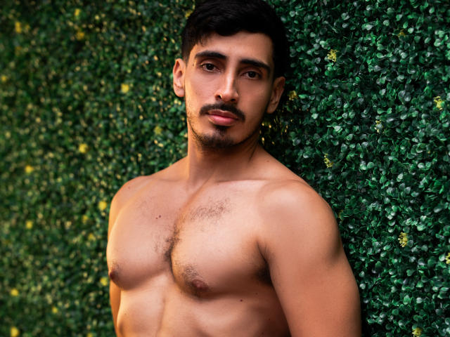 AresMuscle - Live porn &amp; sex cam - 21898993