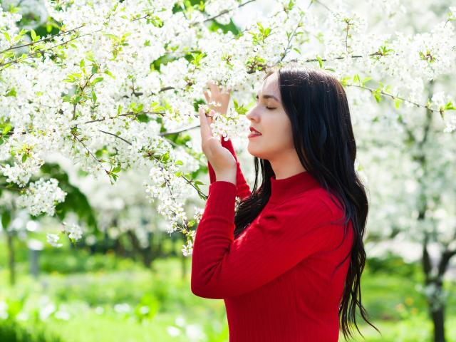 IsabelBlackberry with long dark hair, red sweater, holding white blossoms, eyes closed, smiling softly, standing in a lush green orchard, sunlight filtering through flowers.
