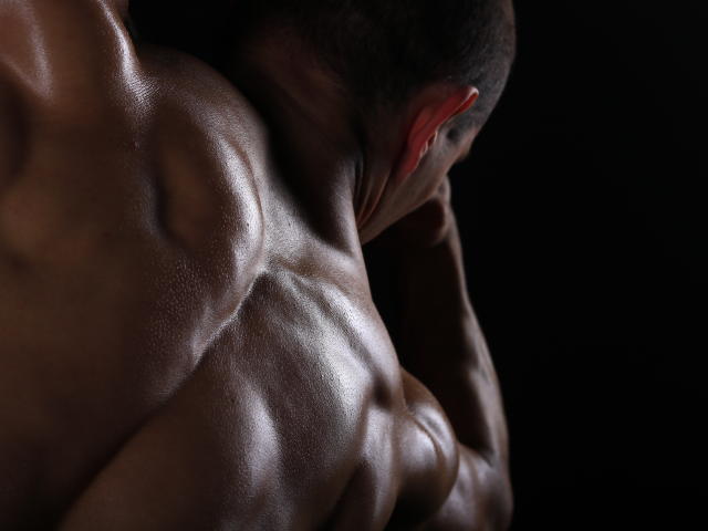 Floral coat of arms with four red roses in a vertical layout. Simple, bold design. White background. Clean, symmetrical layout. Red roses are centered and evenly spaced.