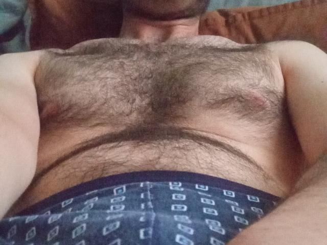 Aure69's hairy chest and hairy stomach, with nipples visible, wearing blue patterned underwear, lying down, partially cropped head, brown pillow in background. Aure69's chest is very hairy.