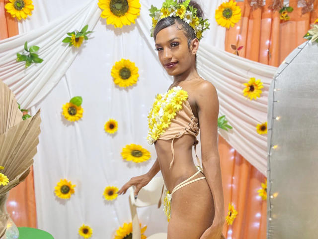 Digital art of a medieval-style flag with a yellow and green design at the top, a red and white pattern below, and a large white letter "B" in the center.