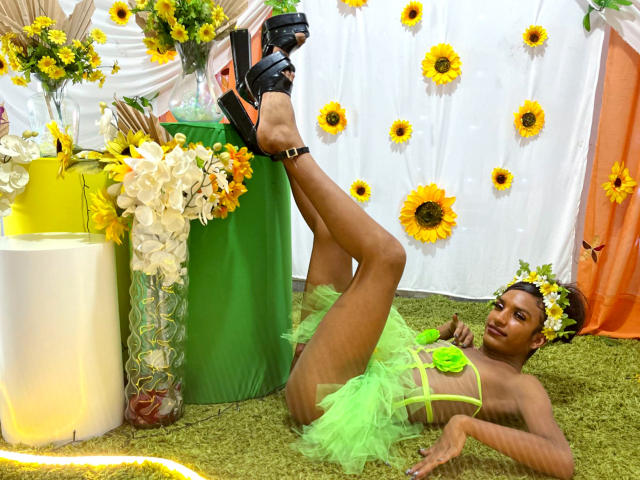 Sealed paper fans with bold black and yellow designs. White fan background with yellow accents. Fans stacked, overlapping slightly. OrianaDollyx's name not visible. Textures: smooth paper, crisp ink.