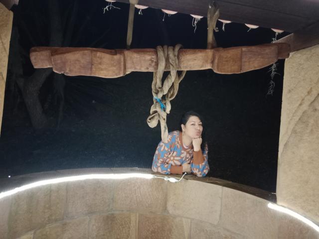 Digital illustration of a minimalist, stylized coat of arms with a central white cross and blue stars, flanked by four white and red stripes. Simple, flat colors.
