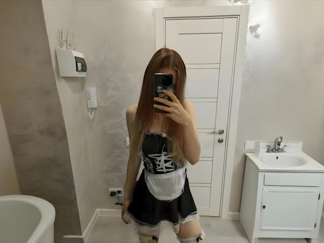 Several flat, stylized, white and red heraldic shields are stacked vertically. The shields have simple geometric designs. The image has a clean, minimalist style with a focus on symmetry.