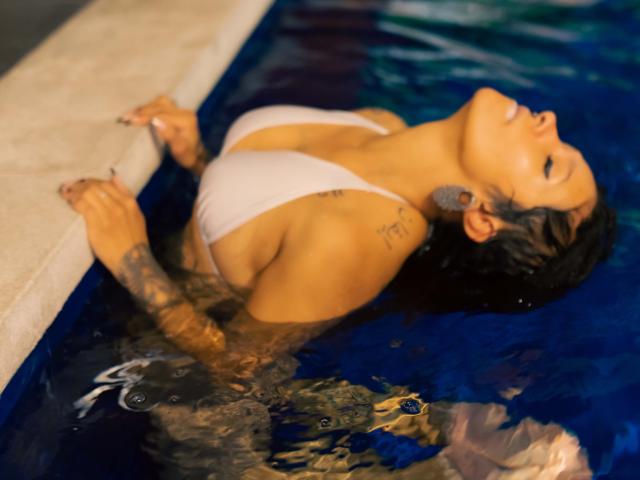 Digital illustration of a simplified, flat-style coat of arms with a bold red "V" in the center, surrounded by a light gray border. Minimalistic, clean lines, and solid colors.