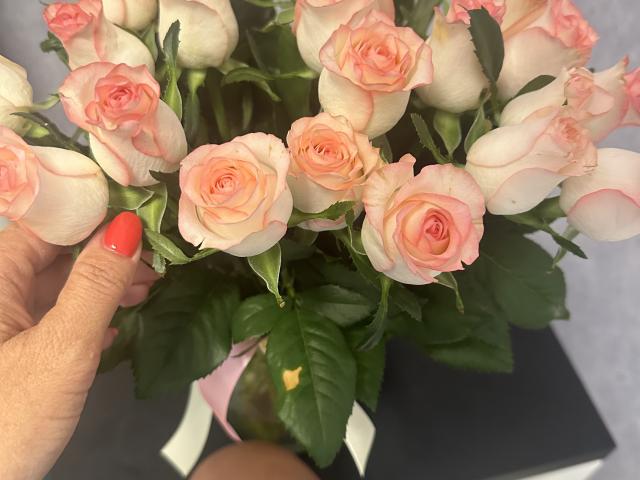 Stefanni's hand with red nail polish holds a bouquet of pale pink roses with white edges and green leaves. Boobs are not visible.