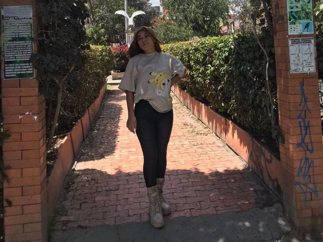 A digital illustration of a bold, stylized letter "E" in dark red with a gold pattern. The letter has a flat, minimalist design with a subtle shadow effect.