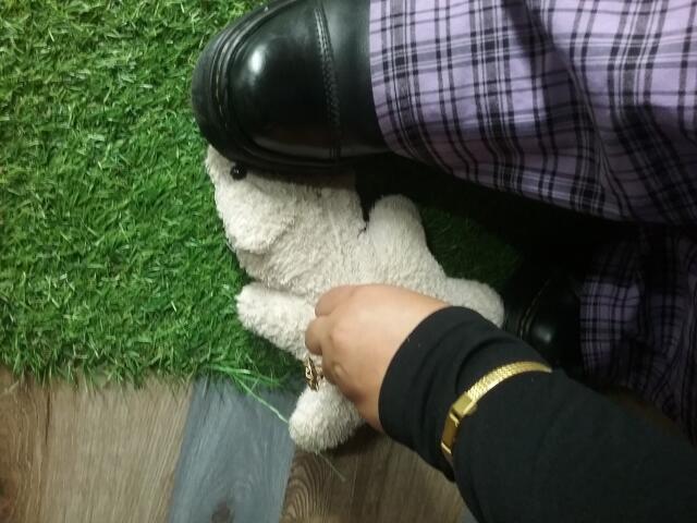 EskelaTheHuntress - Live porn &amp; sex cam - 22423537