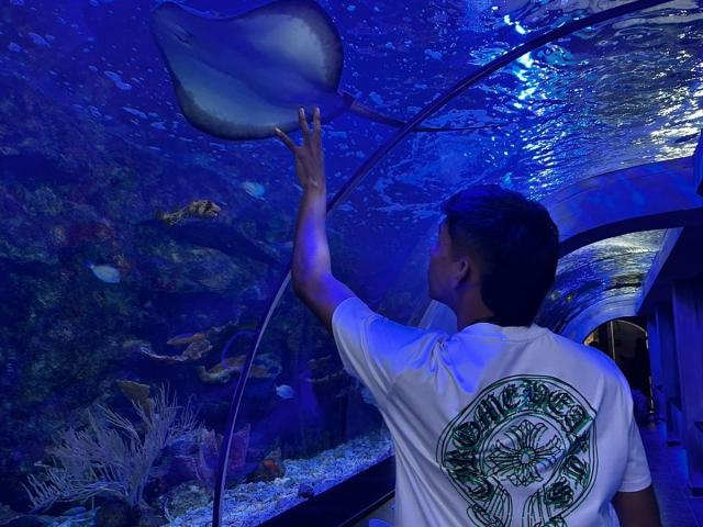 EdwinBlaze with a white shirt, reaching up to touch a large, translucent, boat-shaped shark in a blue-lit aquarium. His back is to the camera, dark hair.