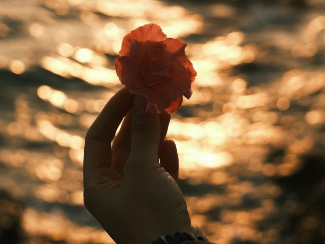 SoniaTestX - сексуальная веб-камера в реальном времени - 22598941