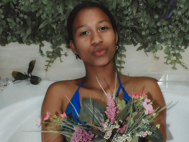 Digital illustration of a coat of arms with a red shield, blue and white cross, and red and white patterned edges. Flat colors, minimalist style, centered composition.