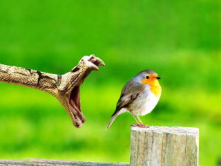 Test2 - Live chat hot avec un Couple caucasien sur le site Xlovecam 