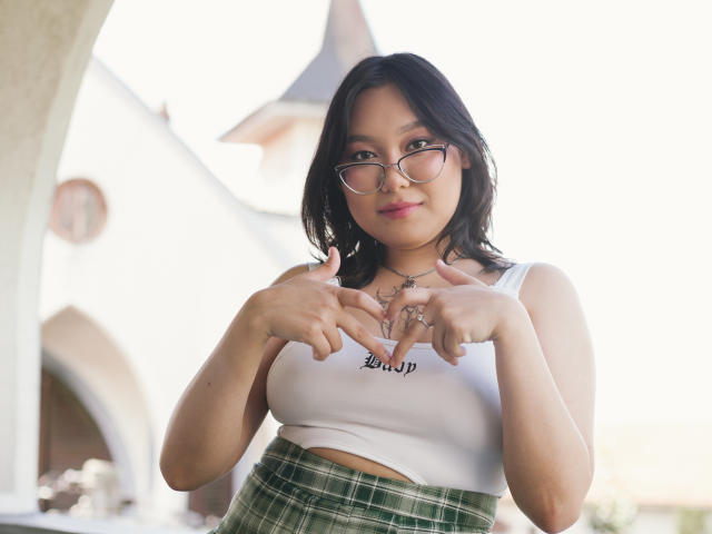Digital illustration of a minimalist, stylized coat of arms. Soft pink and dark blue colors. Simple, flat design. Centered, bold, and clean. No textures, no gradients. YukiLewd not present.