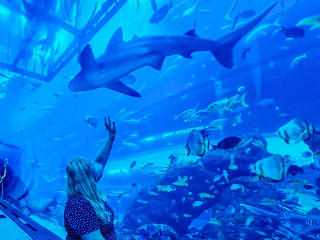 Booigirl-hot - Live porn &amp; sex cam - 22822449