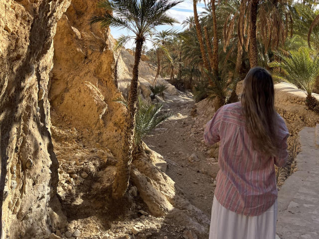 FancyRosie with long brown hair, wearing a pink striped shirt and white skirt, standing in a rocky desert path with palm trees and rock formations.
