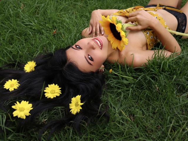 TaylaCooperk with long black hair, lying on grass, holding sunflower, wearing yellow floral top, smiling, surrounded by yellow daisies, showing her tits, cute, sexy, outdoors.