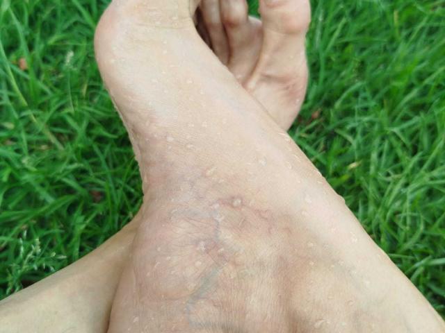 Floral-style coat of arms with four large, overlapping, white petals in a square layout. The petals have subtle gradients from light to dark. Simple, clean design. No additional elements.