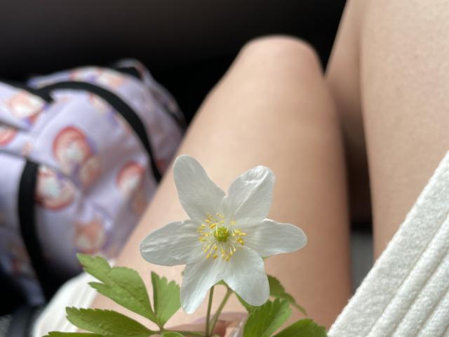 Izida - Live porn &amp; sex cam - 22989037