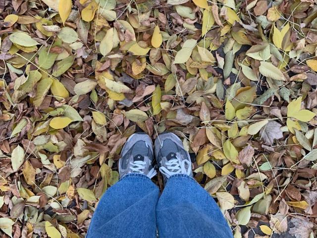 GloriaMisters - Sexe cam en vivo - 23019425