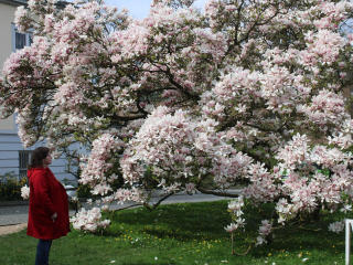 MollyBoobs-hot - Live porn &amp; sex cam - 23049621