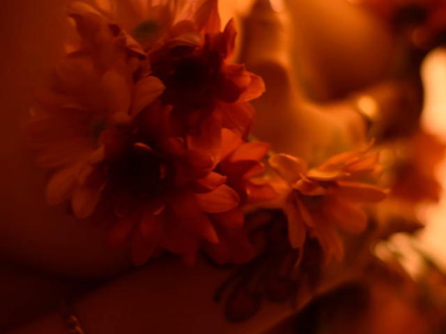 LuxHesse - פורנו בשידור חי ומצלמת סקס - 23051337