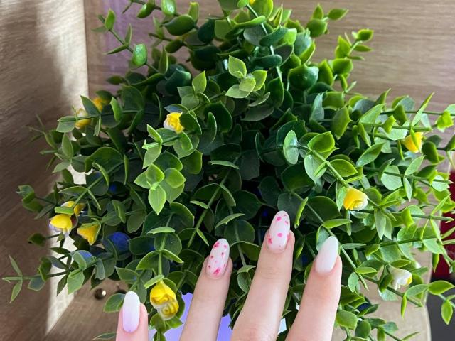 Valissia - 라이브 포르노 &amp; 섹스 캠 - 23150993