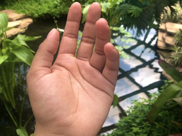 SophieSonyas - сексуальная веб-камера в реальном времени - 23155481