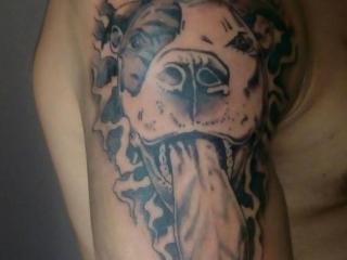 SexyJS - Sexe cam en vivo - 23233069