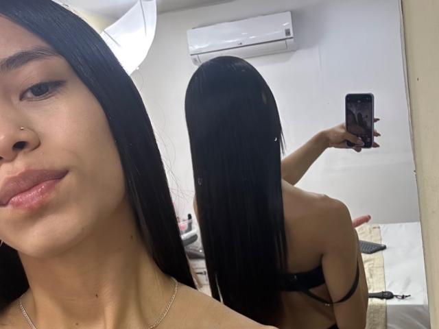 A digital illustration of a coat of arms with a bold, white emblem on a dark background. The emblem features a white, stylized letter "V" on a dark shield.