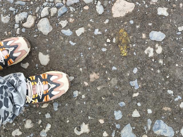 EskelaTheHuntress - Sexe cam en vivo - 23453897