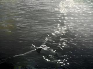 JennsOurens - Sexe cam en vivo - 23459305