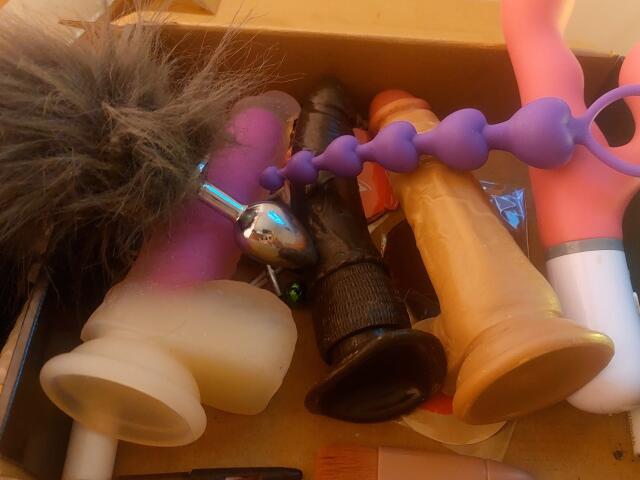 Various dildos in a box, including a pink one with black furry top, purple bead-style, black textured, and tan realistic ones, with LauraRichis' name not relevant to image.
